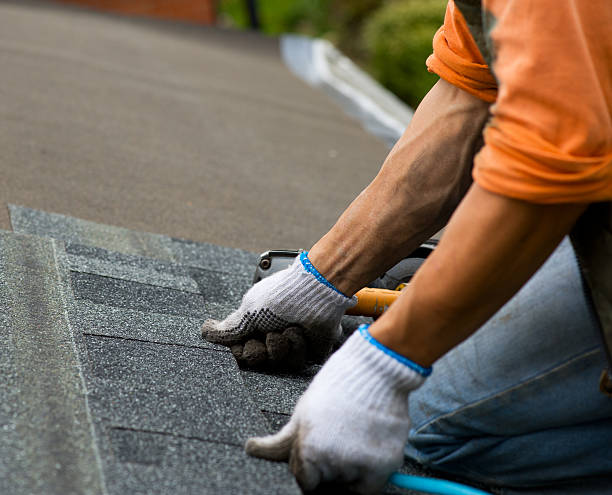Gutter Installation and Roofing in Greenbrier, AR
